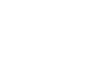 MELVINflex Albania